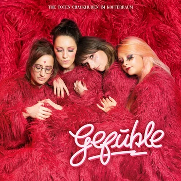 Gefühle by The toten Crackhuren im Kofferraum - album cover