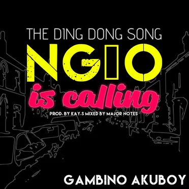 The Ding Dong Song - NG10 is Calling