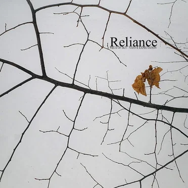 Reliance by Piece of Sky — Native Expectation - album cover
