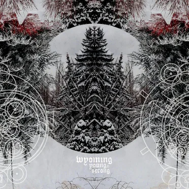 Bend the Night by Wyoming Young and Strong - album cover