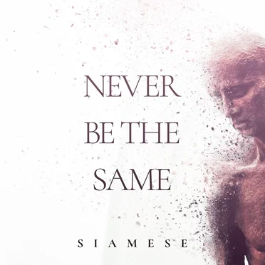 Never Be the Same