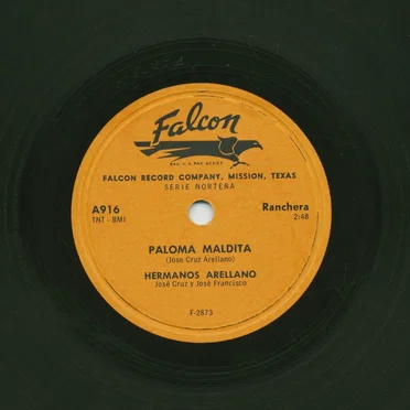 Paloma maldita / Vicente Zavala
