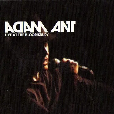 Live at the Bloomsbury