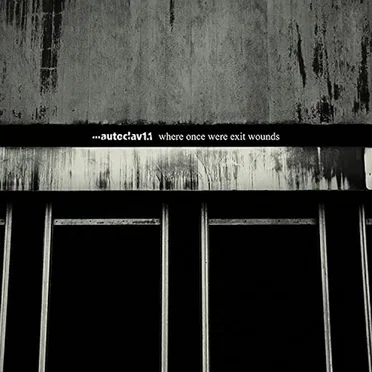 Where Once Were Exit Wounds