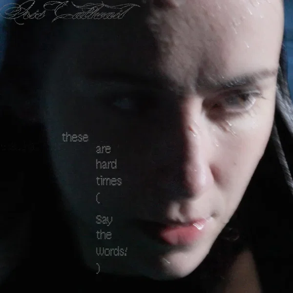 these are hard times (Say the Words!)