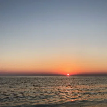 Early Morning