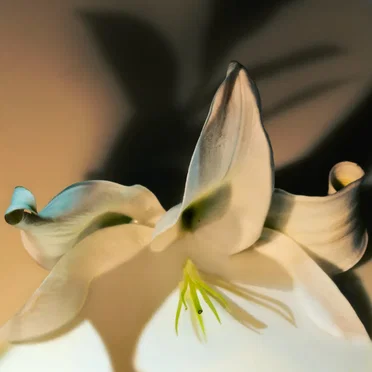 Cruel Spring by Needle Play - album cover
