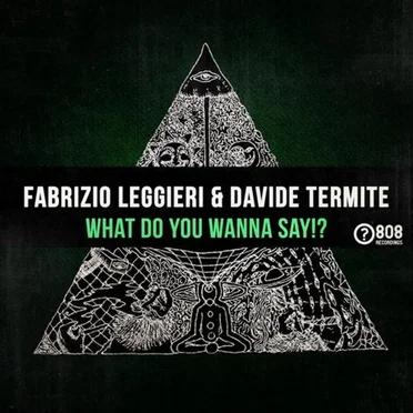 What do you wanna say!? by Fabrizio Leggieri - album cover