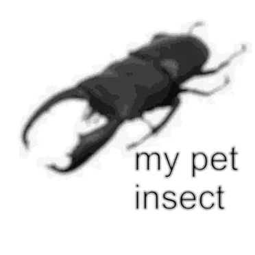 my pet insect by scary phone call from monster - album cover