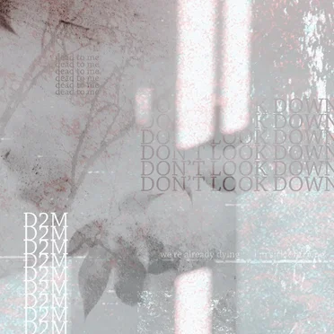 D2M by Vorsa - album cover