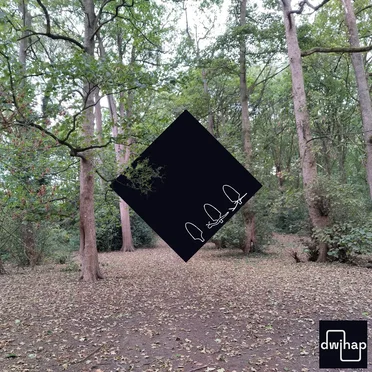 Trees by Don't Worry, I Have A Plan - album cover