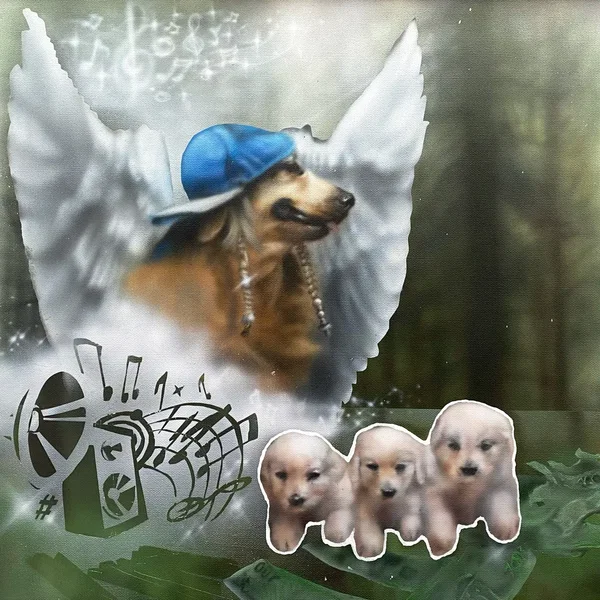 iNUiNUiNU