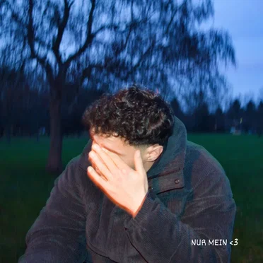 Nur mein Herz by ALLESS. - album cover
