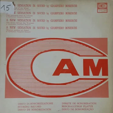A New Sensation In Sound (New Sounds Of The West)