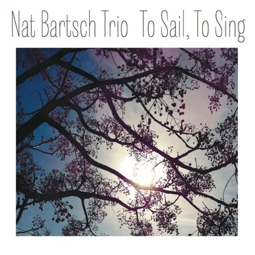 Nat Bartsch Trio