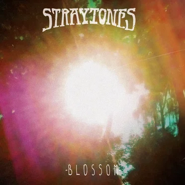 Blossom by Straytones - album cover