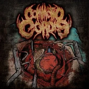 Commotio Cordis