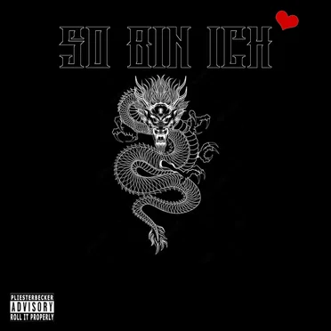 So bin ich by Boyka - album cover