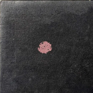 Squalls, Vol. 1