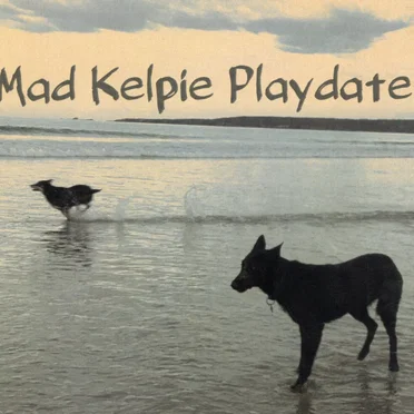 Mad Kelpie Playdate by Mad Kelpie Playdate - album cover