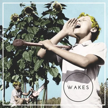 Wakes