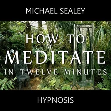 How to Meditate in Twelve Minutes by Michael Sealey - album cover