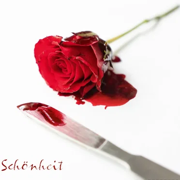 Schönheit by Maschinist - album cover