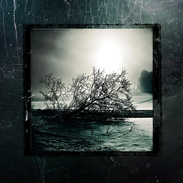 B.T.T. / Like Desolate like True / Nihilism / Erkhrankung