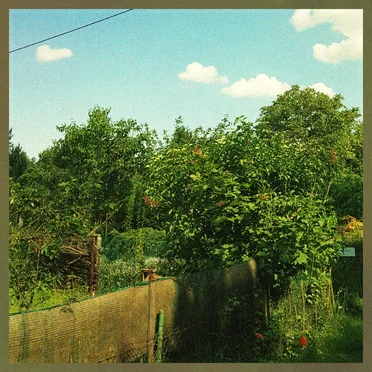 Spring Forever