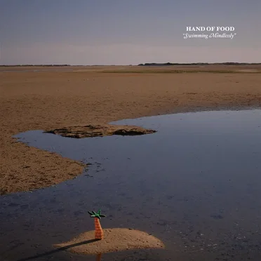 Swimming Mindlessly by Hand of Food - album cover