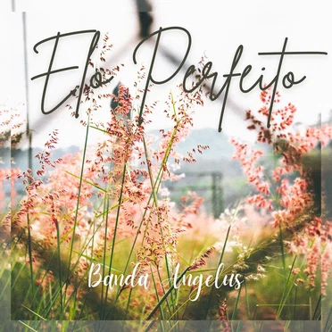 Elo Perfeito by Banda Angelus - album cover