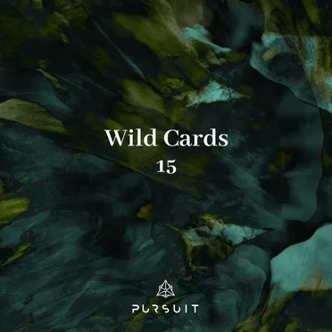 Wild Cards 15 by Various Artists - album cover