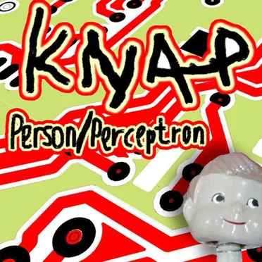 Person Perceptron by Knap - album cover