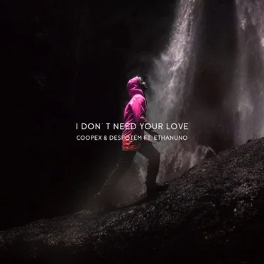 I Don't Need Your Love