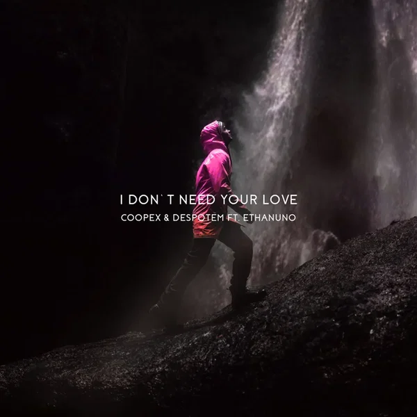 I Don't Need Your Love