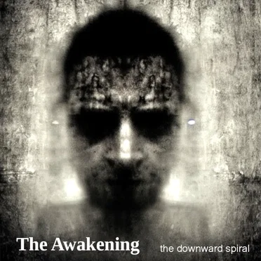 The Awakening by The Downward Spiral - album cover