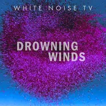 Drowning Winds by White Noise TV - album cover