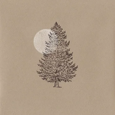 Searchlight Needles by Cabinet of Natural Curiosities - album cover