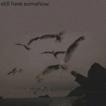 still here somehow.