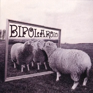 Transparent Make-Believe by Bipolaroid - album cover