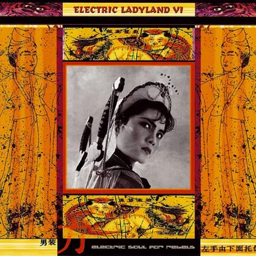 Electric Ladyland VI by Various Artists - album cover