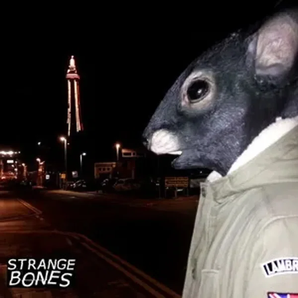 We the rats