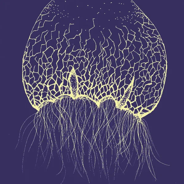 Silvertone e il sentimento oceanico