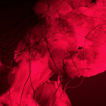 Dissociate | Larva Series 06