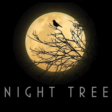 Night Tree by Night Tree - album cover