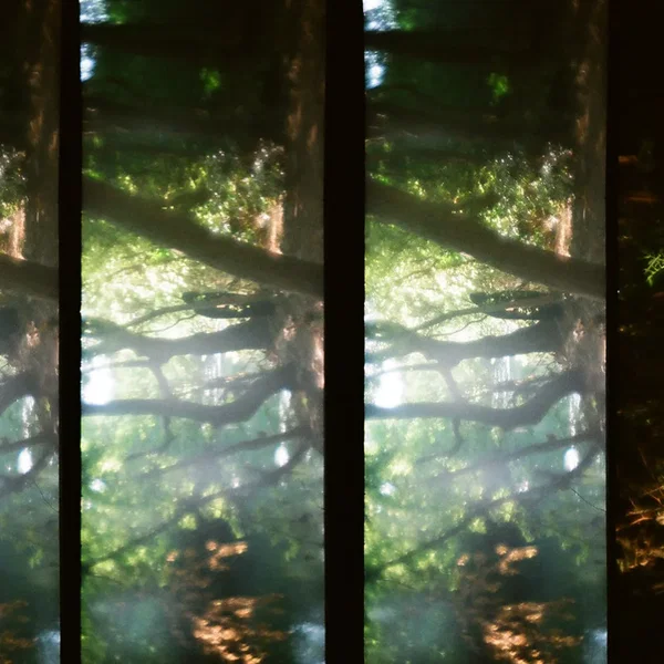Magic Free