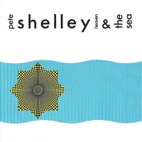 Pete Shelley artist image