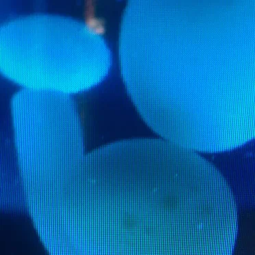 ፨፤፨ፙ፸ፓፁጲ፨፤፨፨፤፨ፙ፸ፓፁጲ፨፤፨ by ᐛ⠳⠳⡹บ๕ᐂ⢗ΔΔ⡣⣟ᐛᐛ - album cover