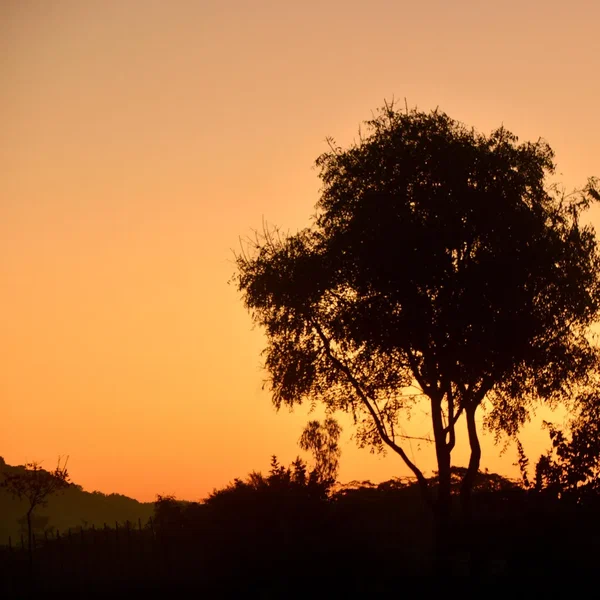 You Can't Always Get What You Want