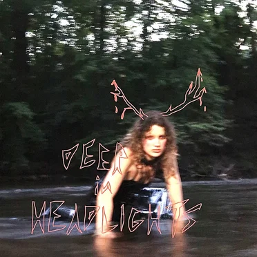 Deer in Headlights